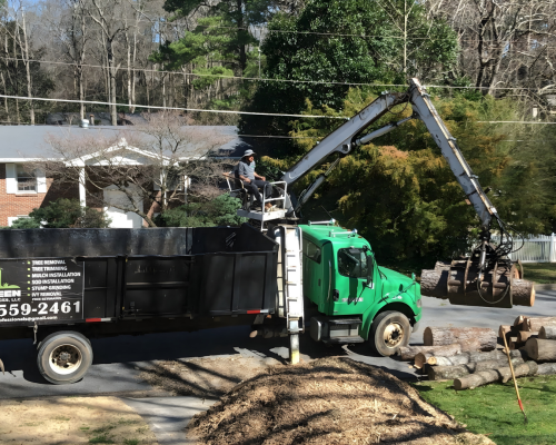 Storm Damage Cleanup