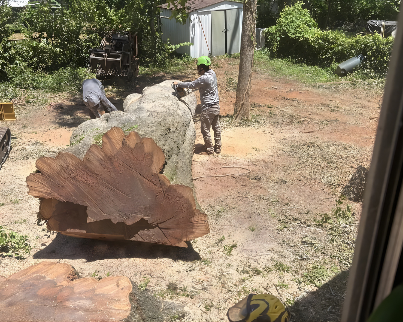 Stump Grinding & Removal