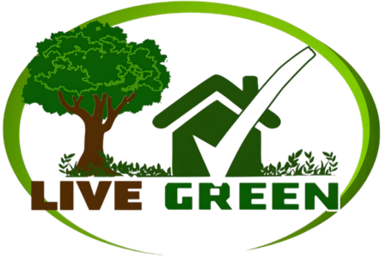 Untitled design (9) 1